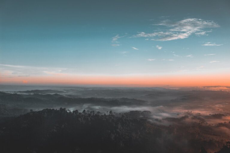 Bird S Eye View Photography Of Green Forest 1208379 768x512